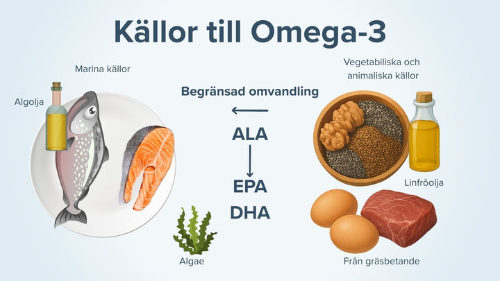 Sources of OMEGA-3