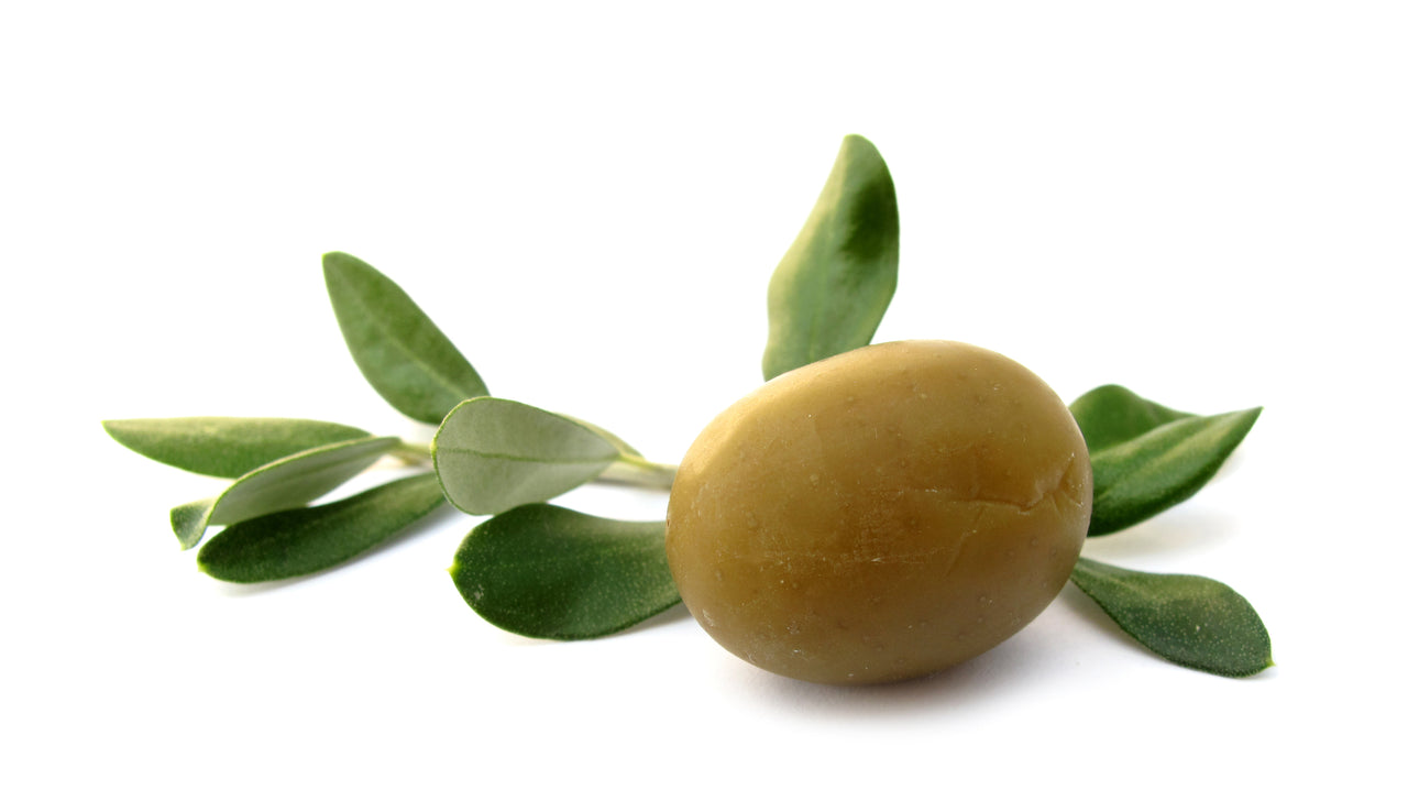 Picual Olive